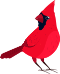 Bird Image