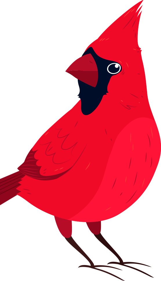 Bird Image