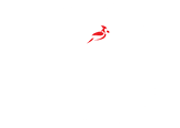 Design Logo