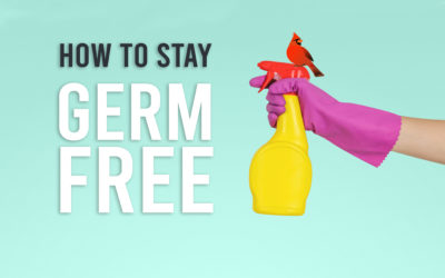 Tips on How to Stay Germ Free during COVID-19